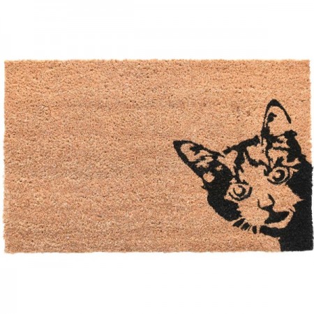 Χαλάκι εισόδου cat